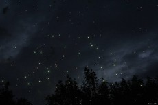 Не спи, смотри на звёзды!