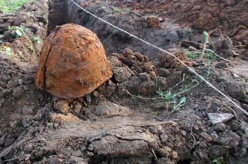 В Лиозно найдены останки советских солдат