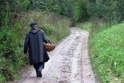 В Лиозненском районе в лесу заблудился пенсионер