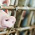 Витебский концерн ведет строительство свиноводческих репродукторов