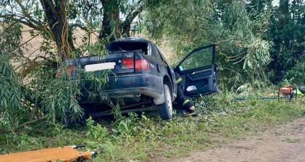 Под Лиозно Audi врезалась в дерево
