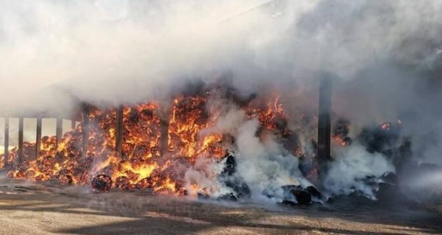 Пожар на льнозаводе в Лиозно